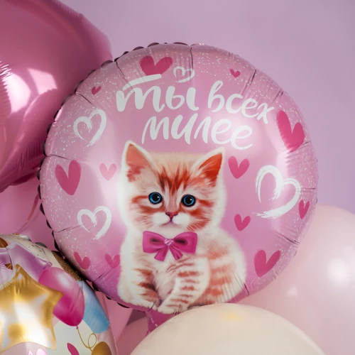 Шар Круг, Ты всех милее (котенок)