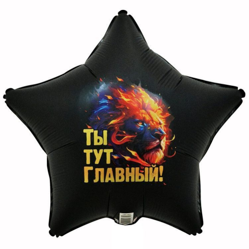 Шар Звезда Ты тут главный Лев